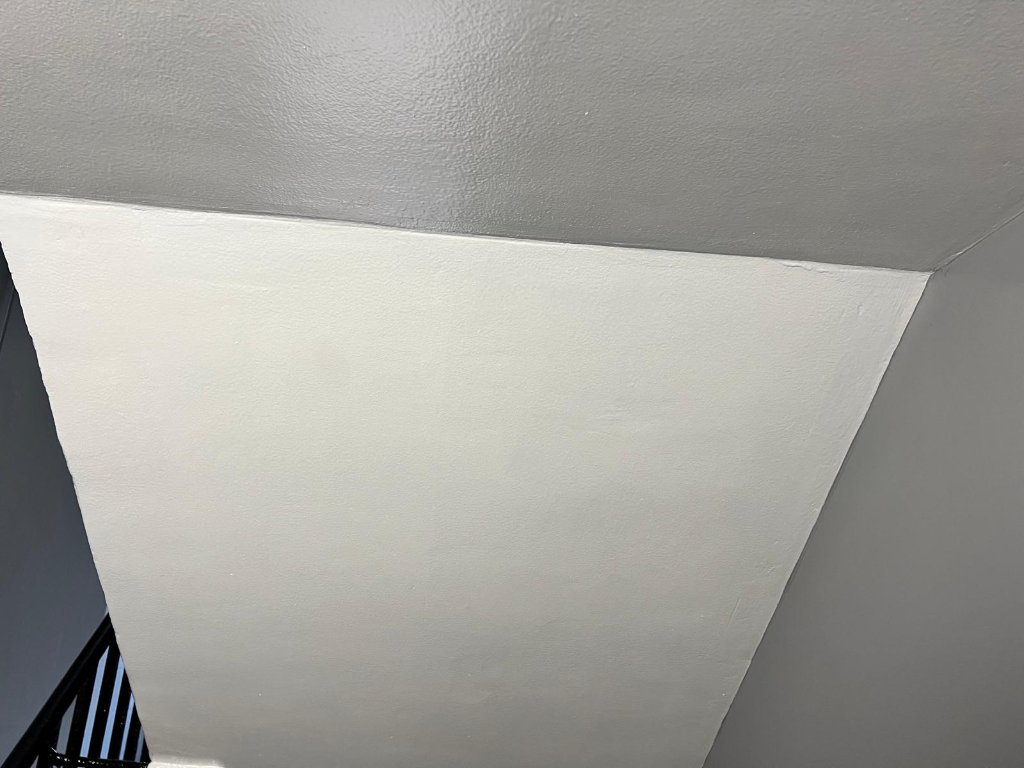 FireGuard Pro 200 ceiling application — Prokol fire-rated coating