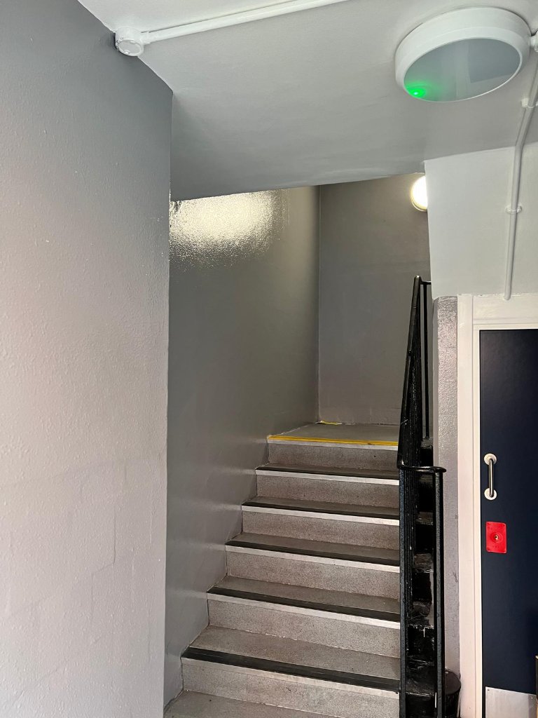 FireGuard Pro 200 completed coating finish — independently tested fire protection