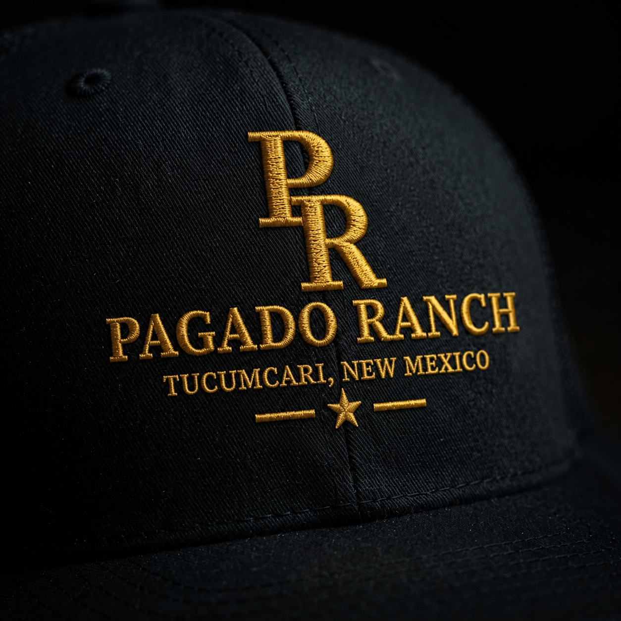 Close-up of an embroidered logo on the hat's front panel