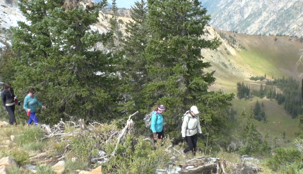 Women hiking through alpine forest with sweeping mountain valley views