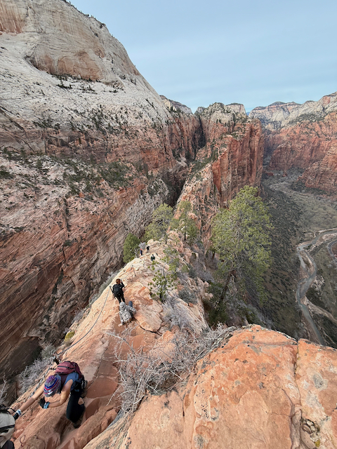 Hikers on the exposed ridge of Angels Landing with canyon views
