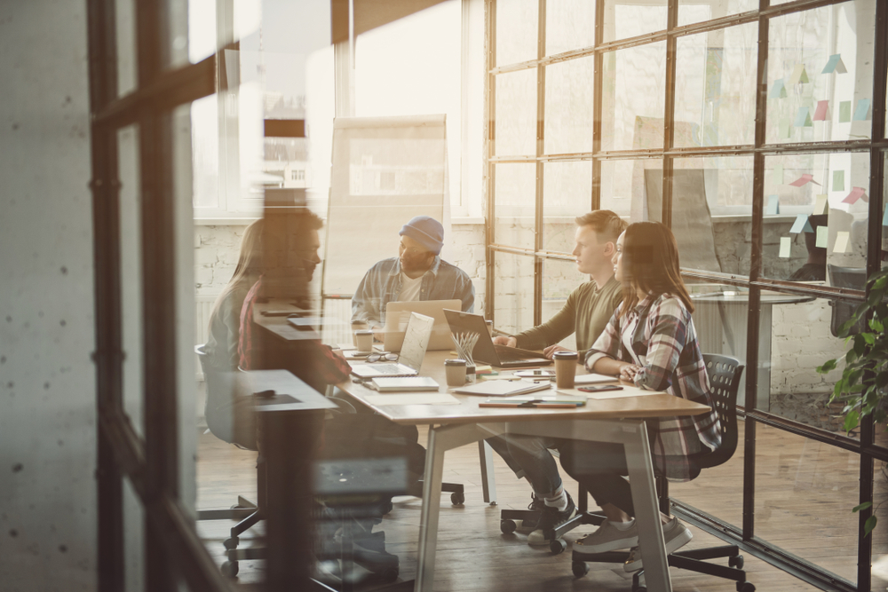 Professional leader in a strategic environment