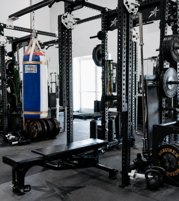 Strength and performance training equipment
