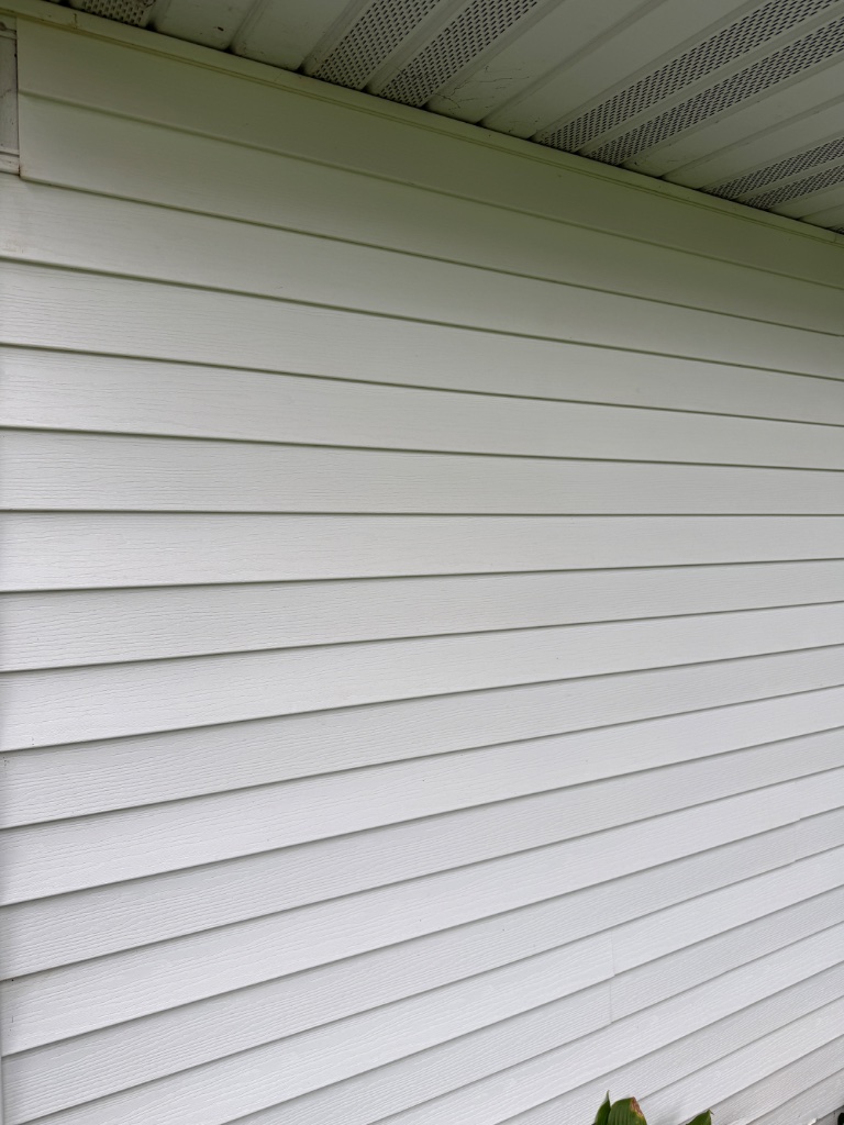 Freshly washed vinyl siding with soffit