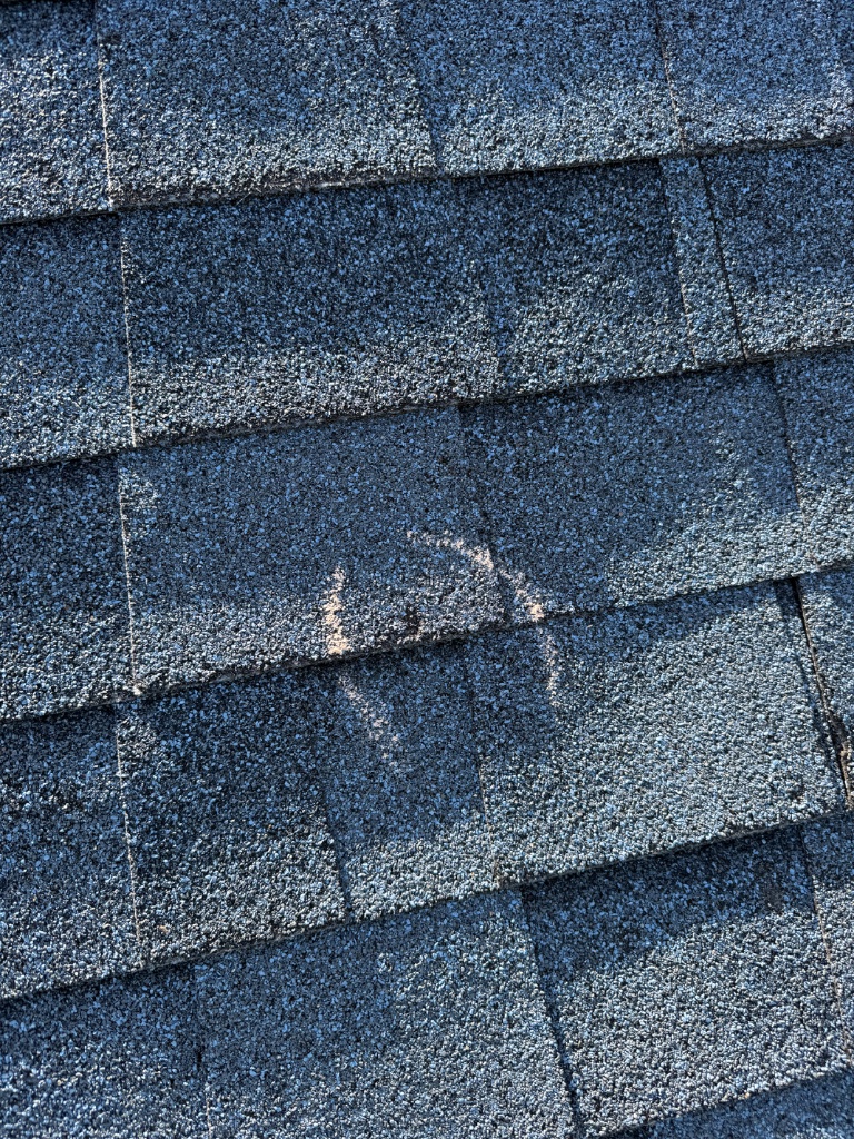 Hail-damaged shingle roof overview