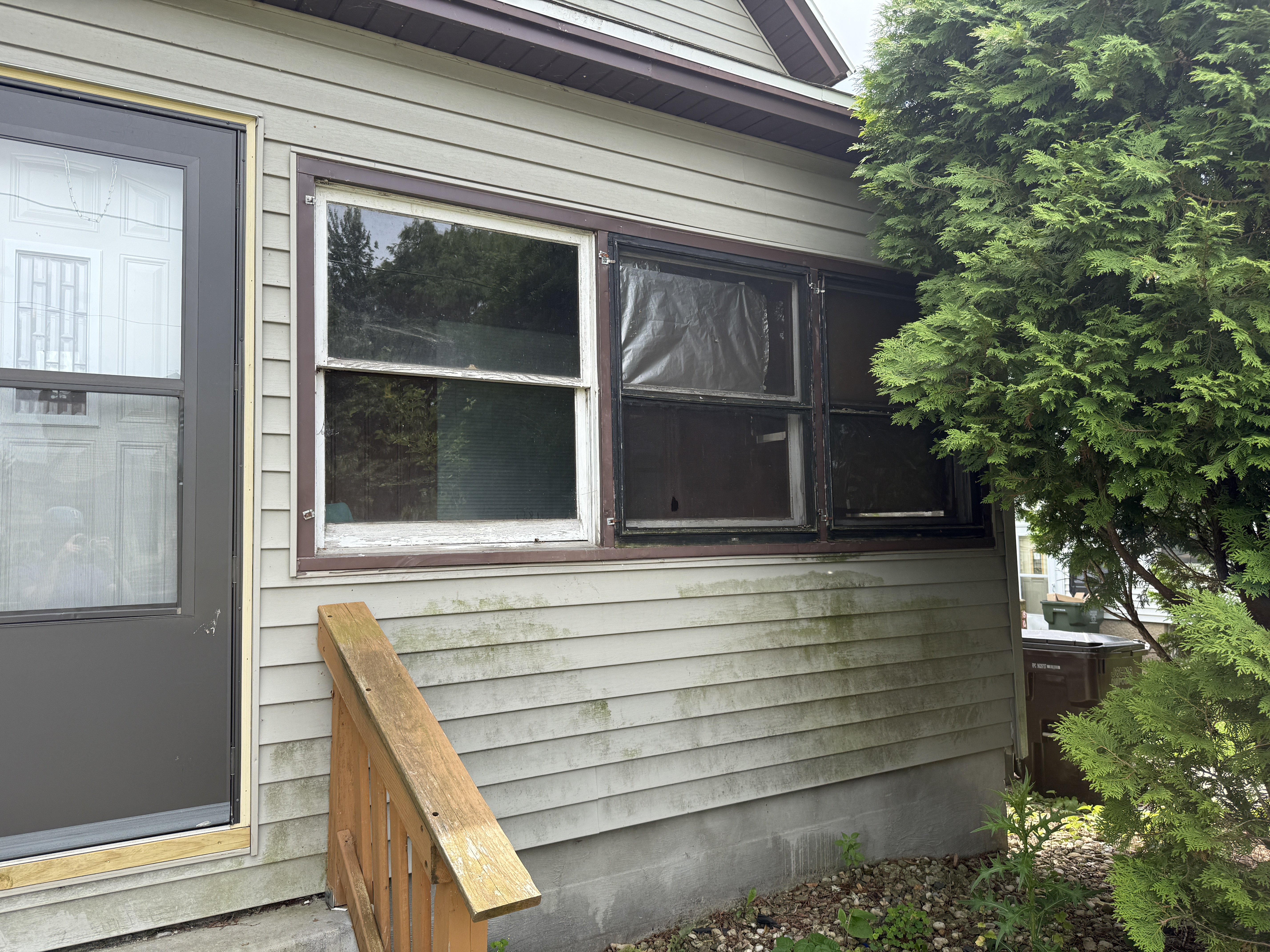 Vinyl siding with heavy green algae and mildew buildup along the lower wall and window frame