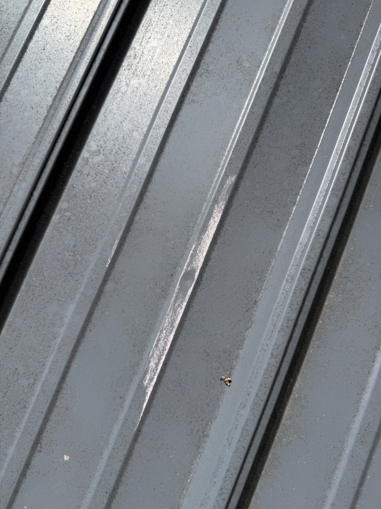 Cracked and rusted commercial metal roof