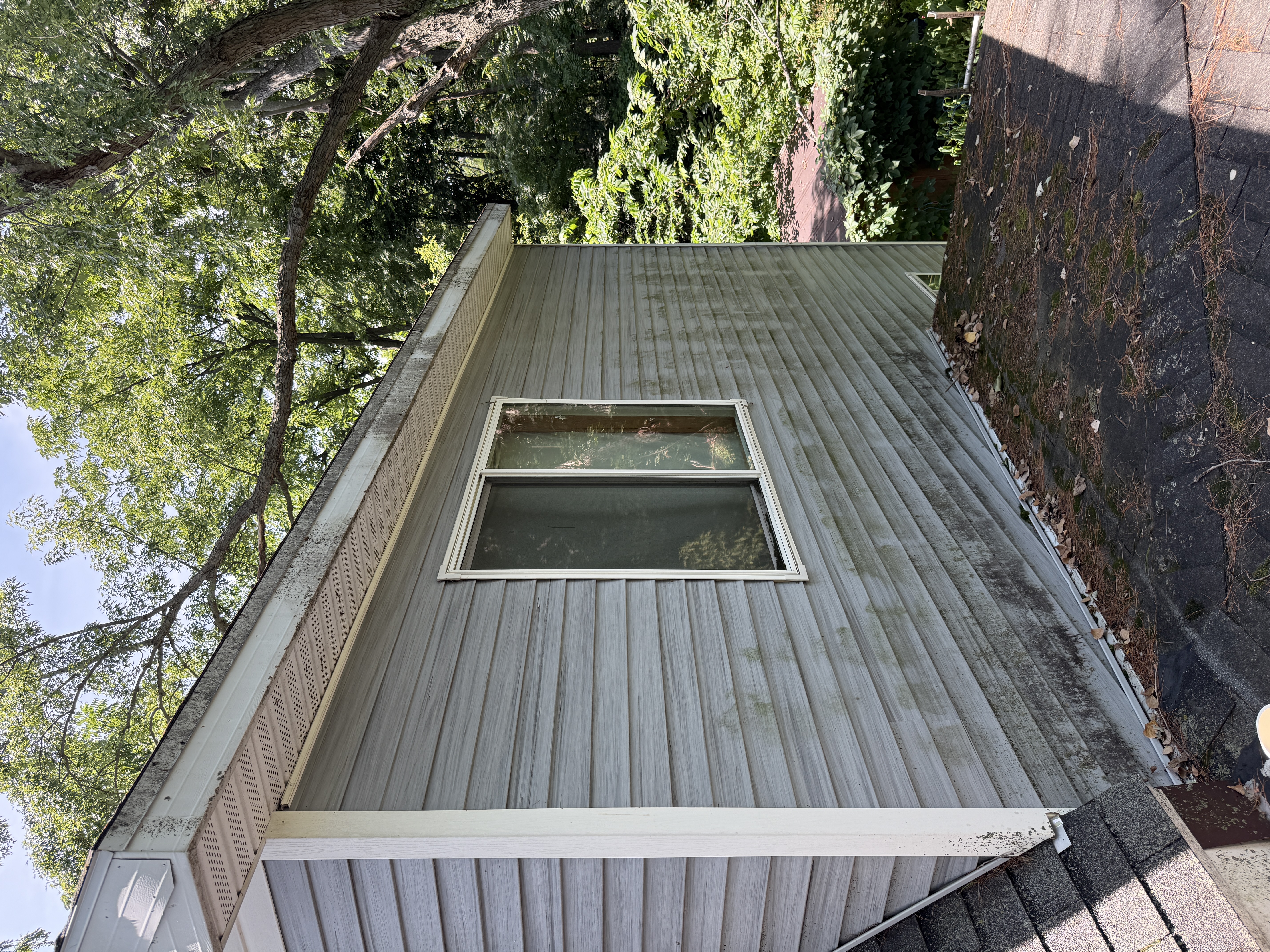 Discolored streaked vinyl siding with debris on the roof above