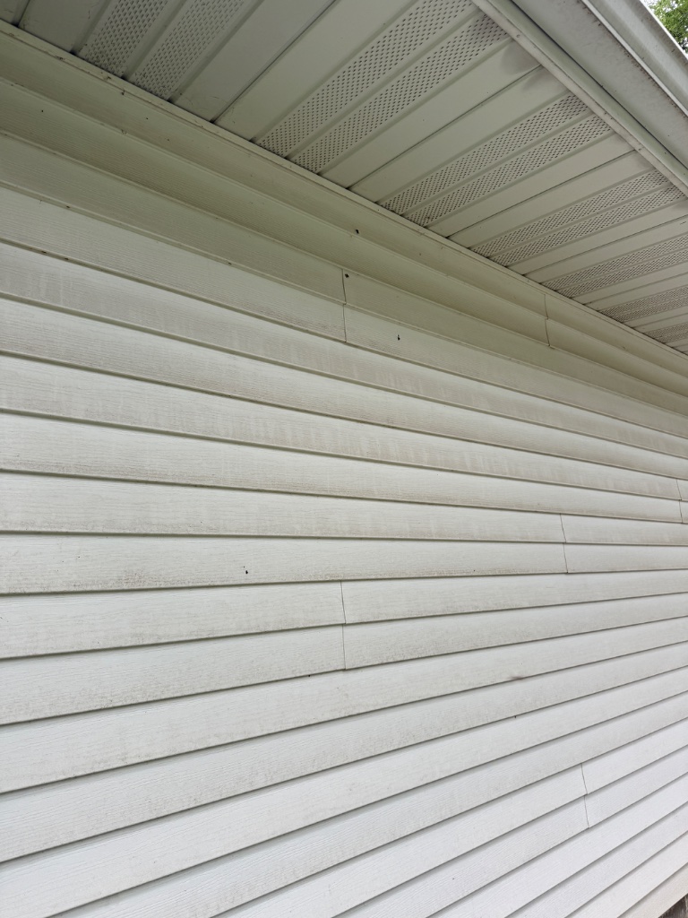 Close-up of grimy streaked siding before washing
