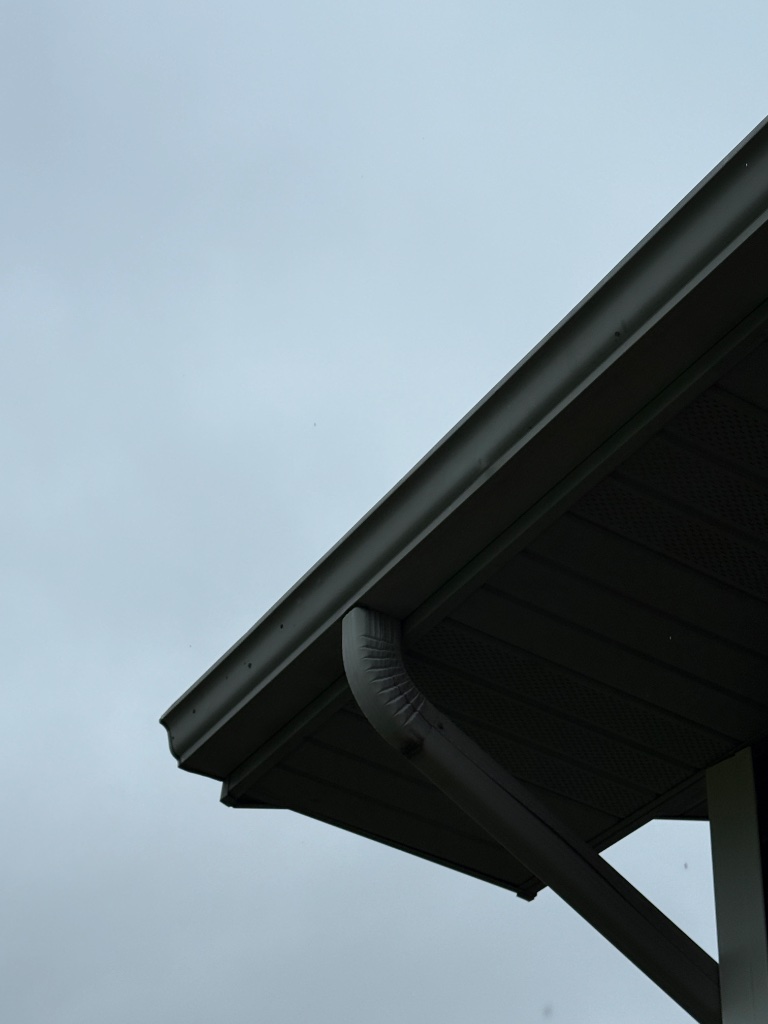 Gutter cleaning