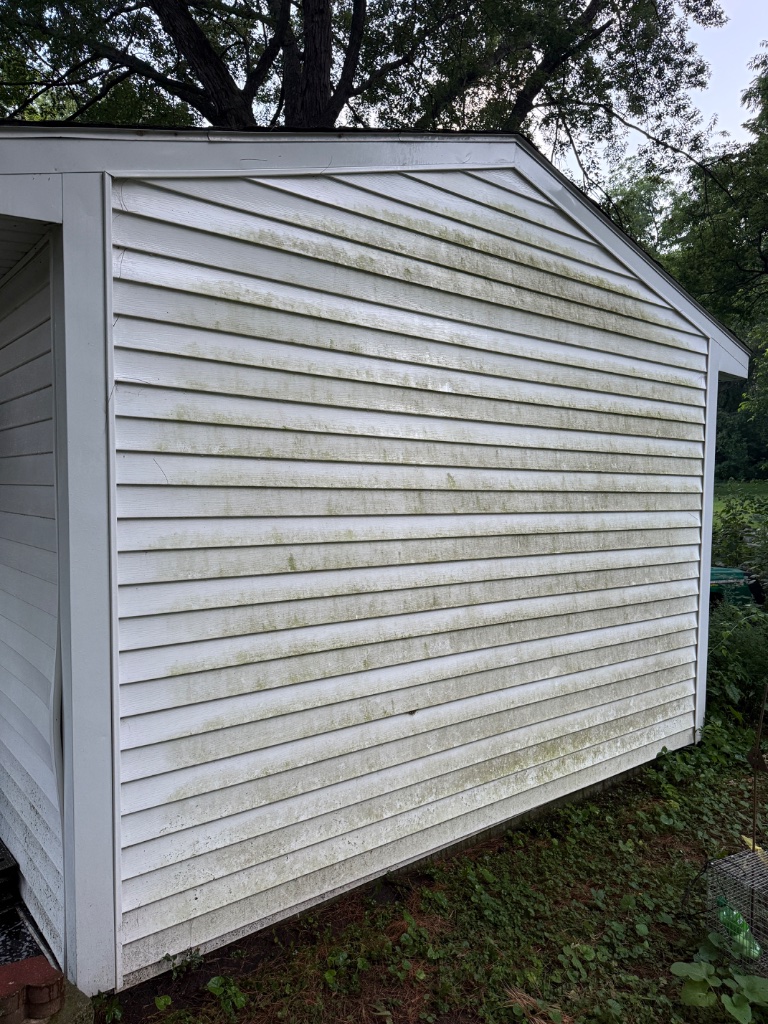 Shed gable covered in green algae before washing
