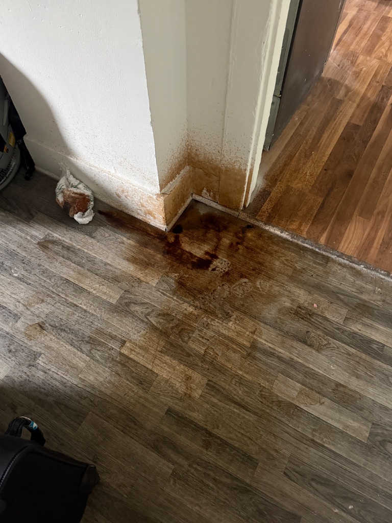 Floor-level water damage — dark brown saturation spreading from the wall corner across laminate flooring