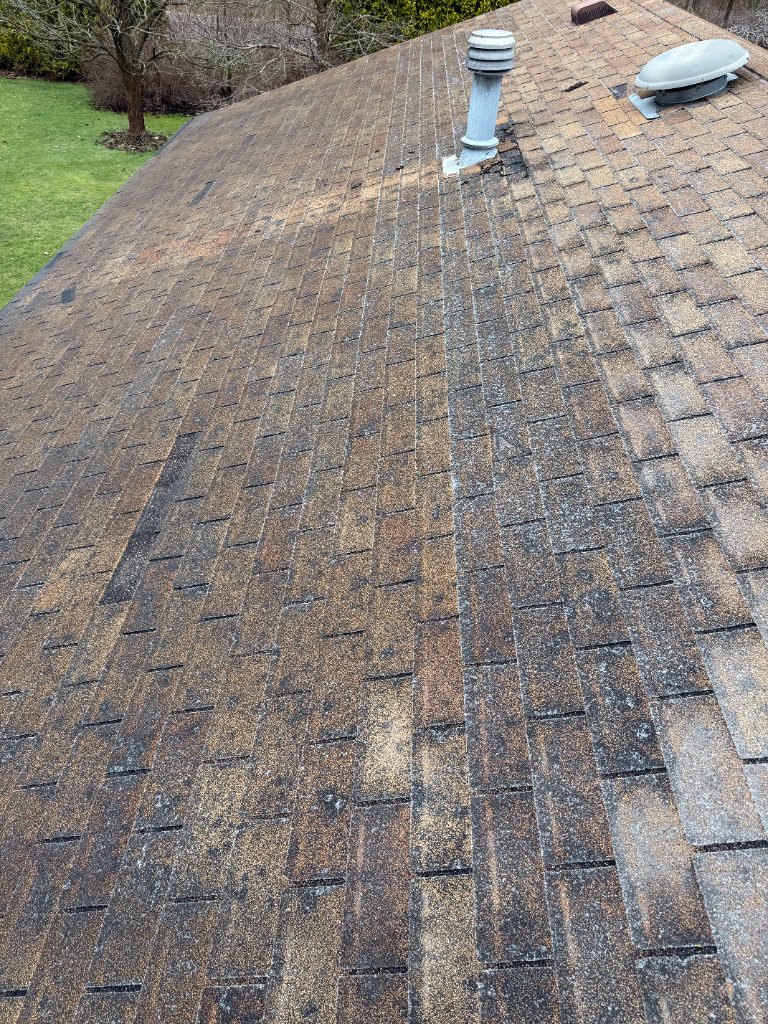 Worn and damaged shingles identified during inspection