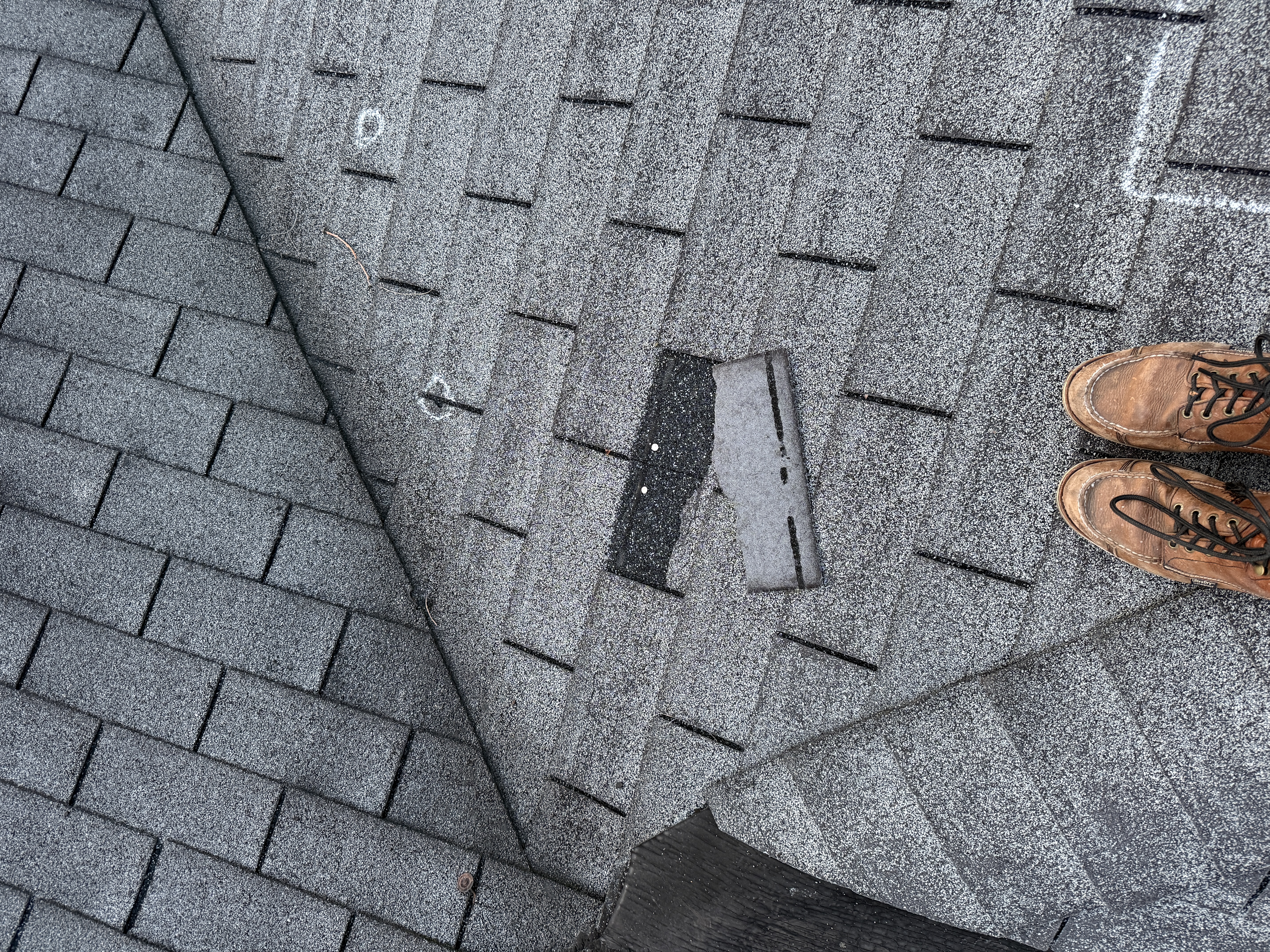A fully detached shingle tab lying next to the exposed adhesive strip where it broke free