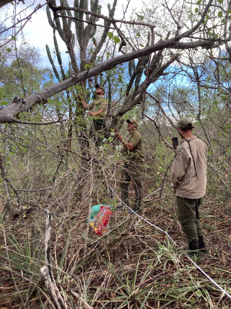 Conservación Biológica