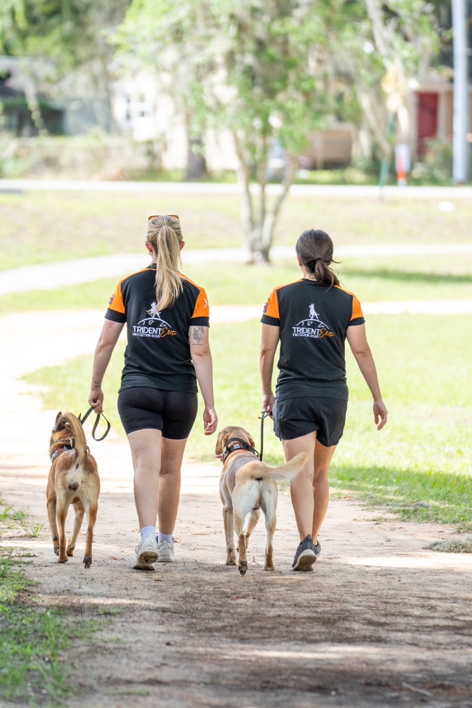 Trident Elite dog training