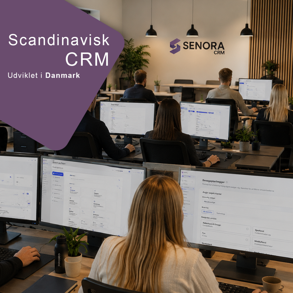 SenoraCRM udviklingsteam på kontoret