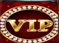 VIP Badge