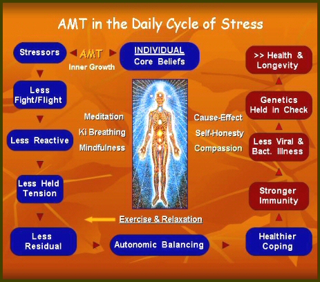 Diagram 3 — AMT® in the Daily Cycle of Stress
