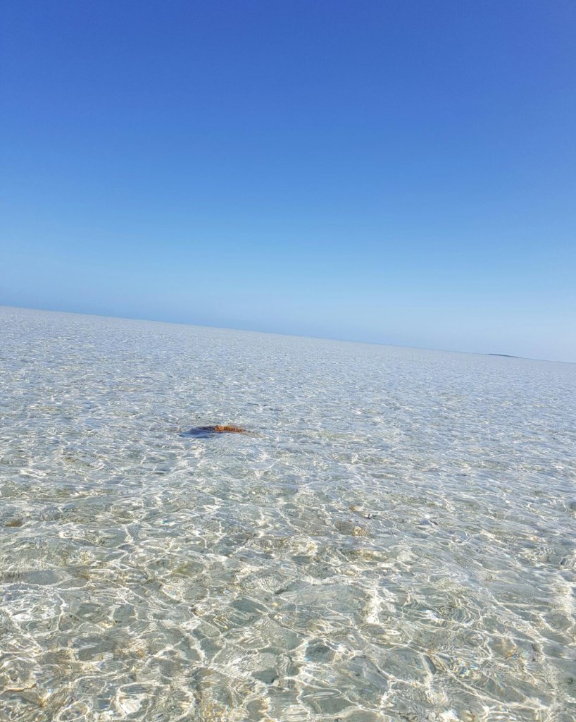 Pristine shallow waters stretching to the horizon, Bahamas