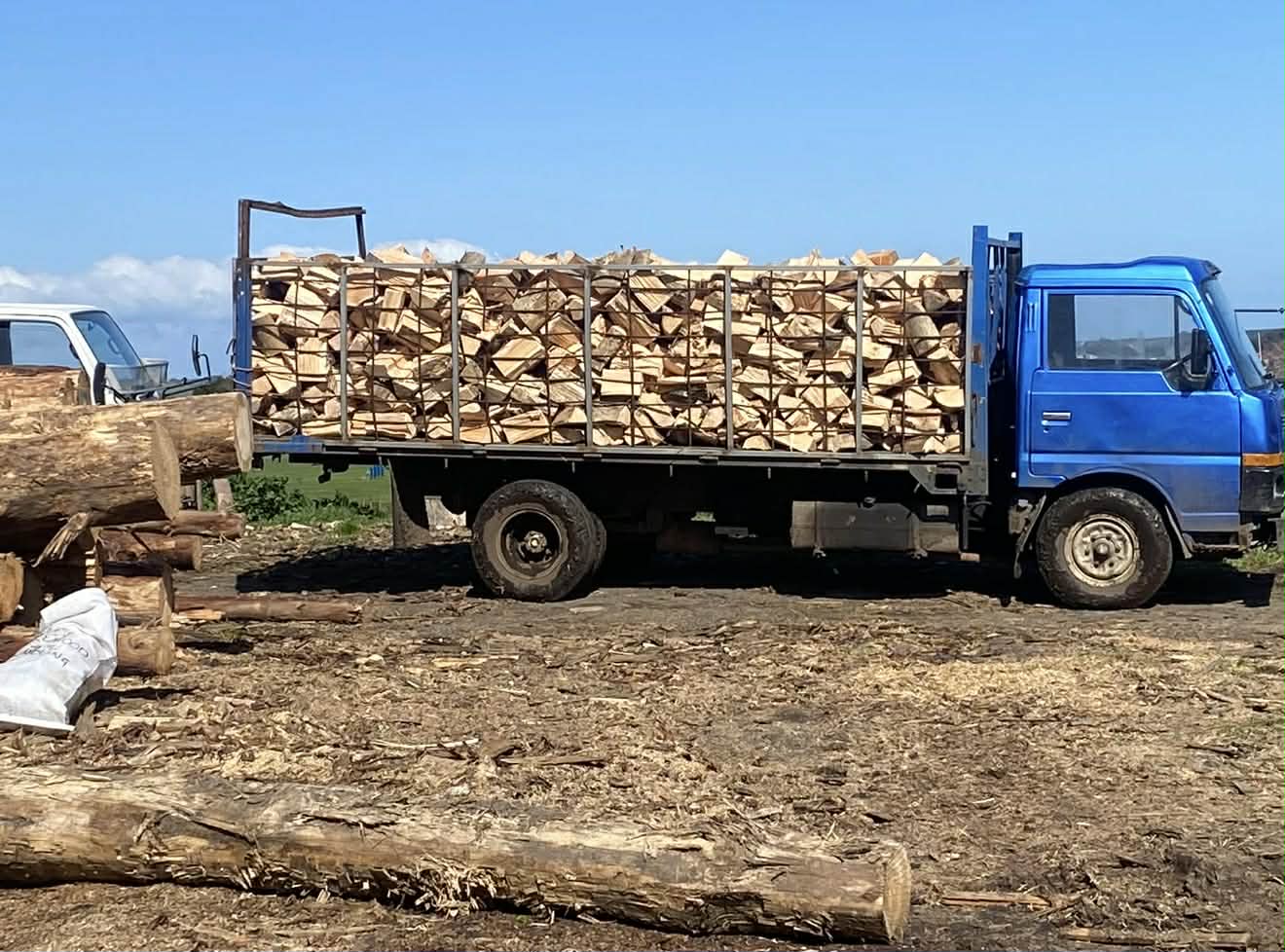 10 Cube of Green Pine