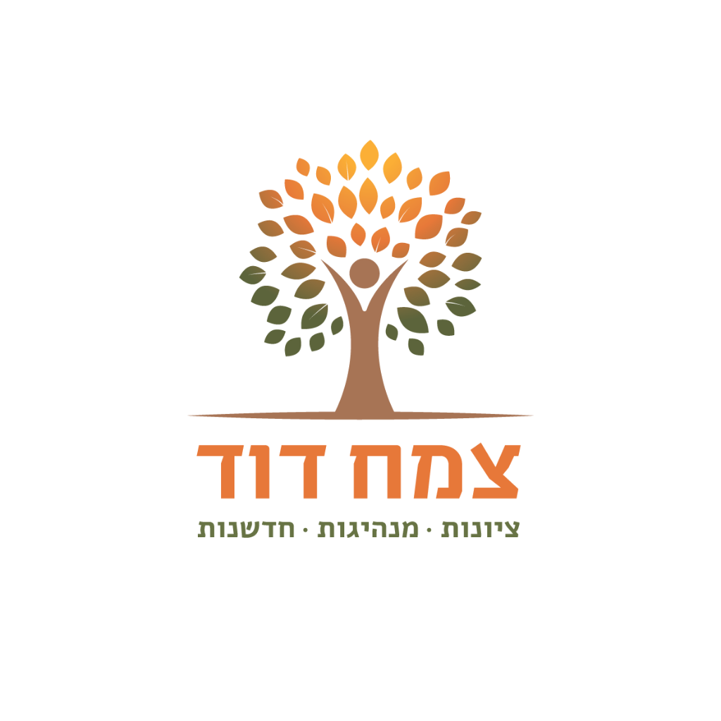 Tzemach David