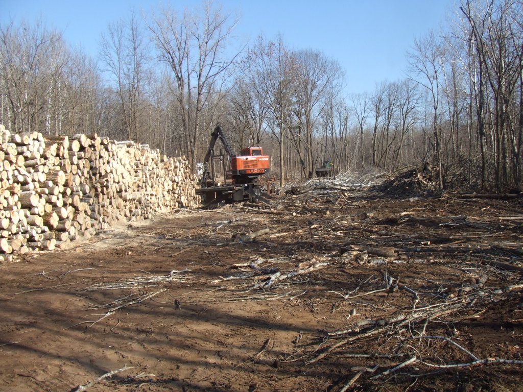 Timber Harvesting
