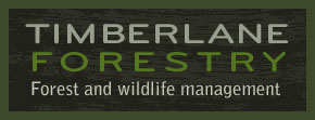 Timberlane Forestry - Minnesota Forest Management & Consulting Logo