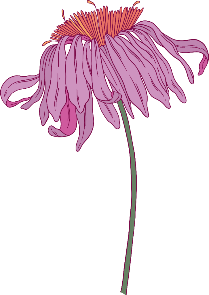 Brand motif