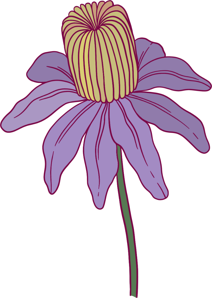 Brand motif