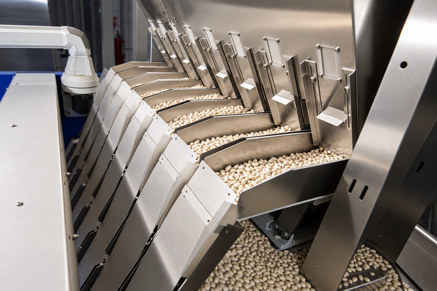 Optical sorting and grading line at the Cono Group processing facility