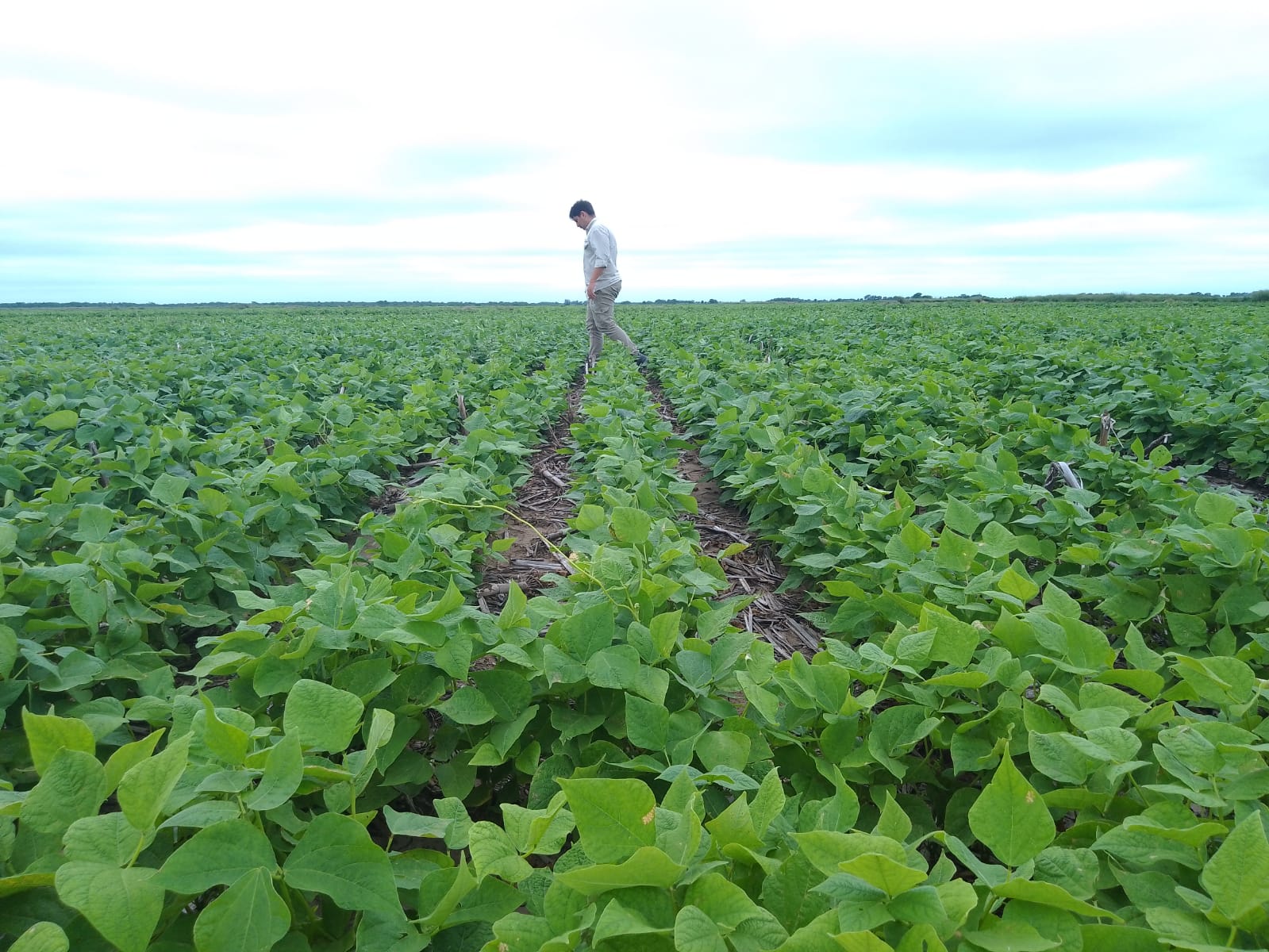 Cono Group farming operations — center-pivot irrigation in the field