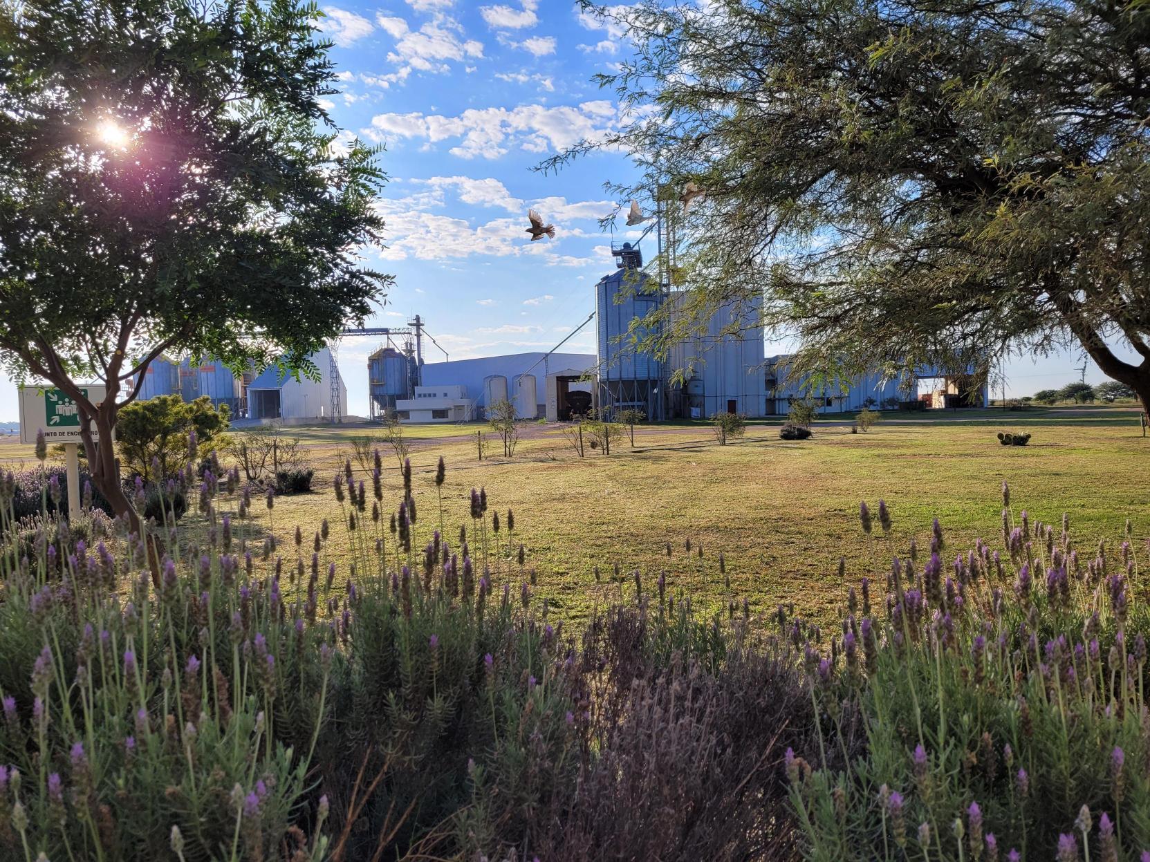 Cono Group processing facility and silos under a bright sky
