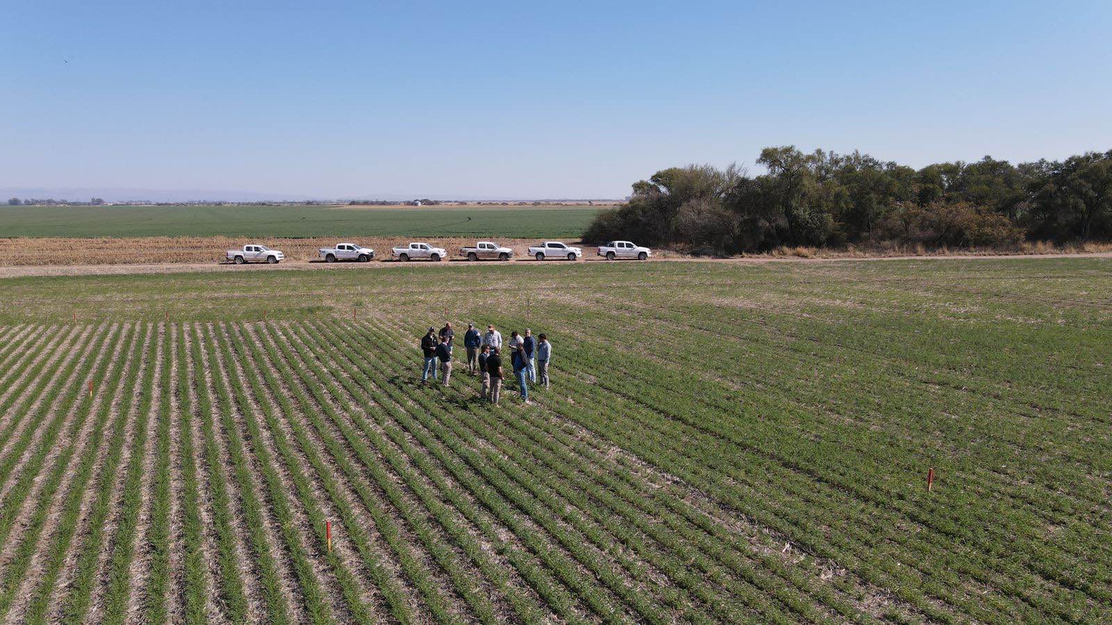 Cono Group co-growing — agronomists inspecting crops with partner growers in the field