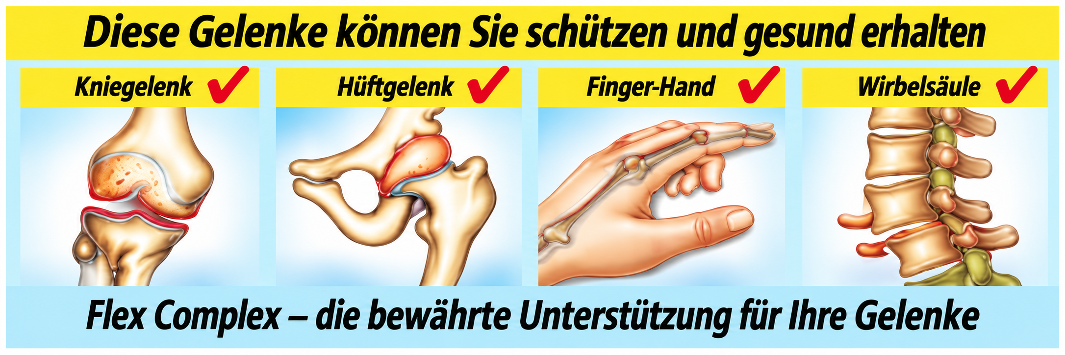 Diese Gelenke können Sie schützen und gesund erhalten – Kniegelenk, Hüftgelenk, Finger-Hand und Wirbelsäule