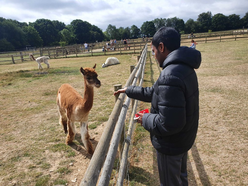 Community Trip
