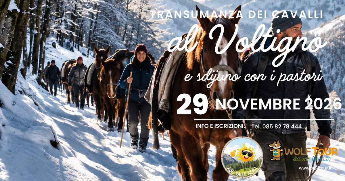 Transumanza dei cavalli al Voltigno e Sdijuno con i pastori