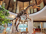 Museo Universitario — Università G. d'Annunzio