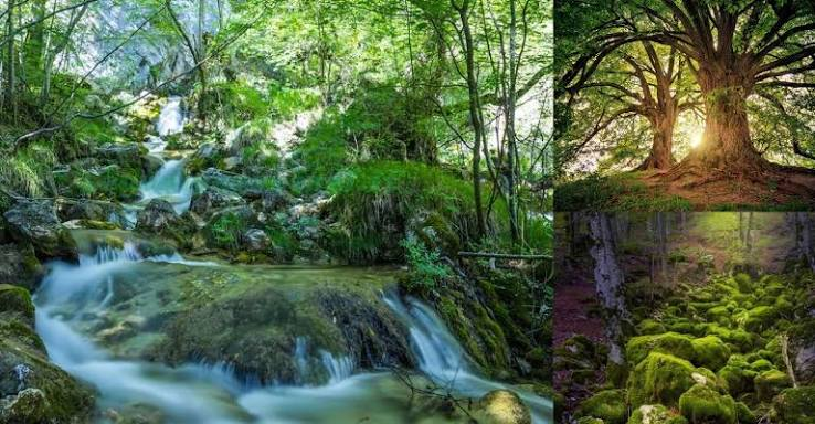 Val Fondillo e Grotta delle Fate — Avventura nel Parco Nazionale d'Abruzzo