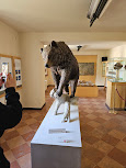 MOM — Museo dell'Orso Marsicano e Area Faunistica dell'Orso Bruno
