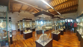 Museo delle Ceramiche di Castelli