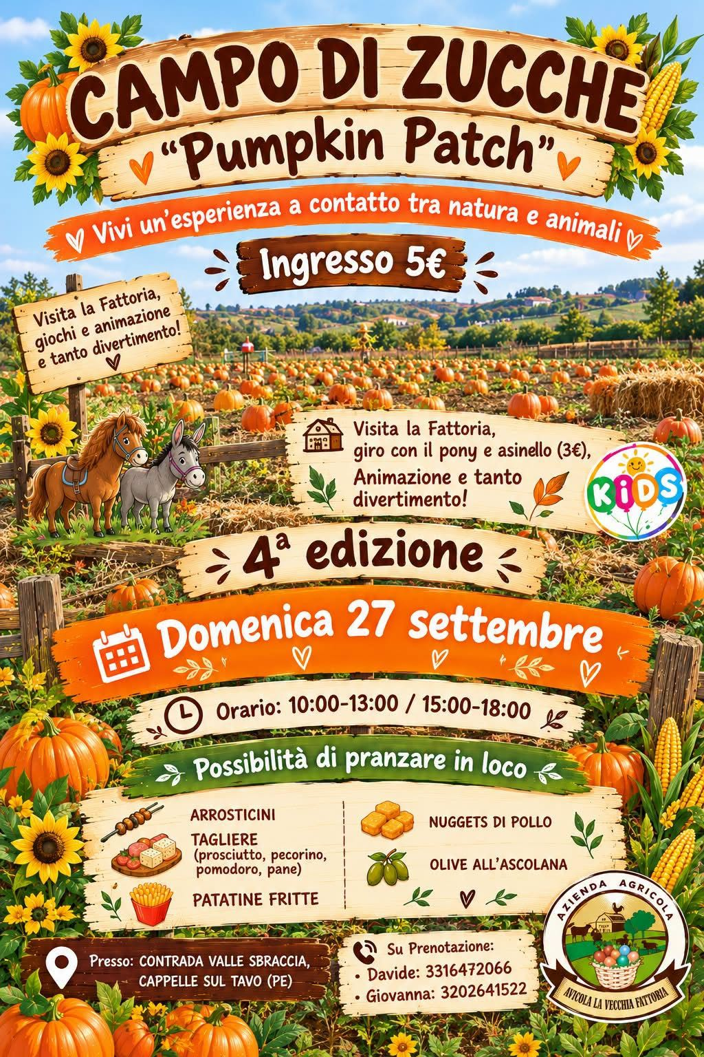 Campo di Zucche – Pumpkin Patch