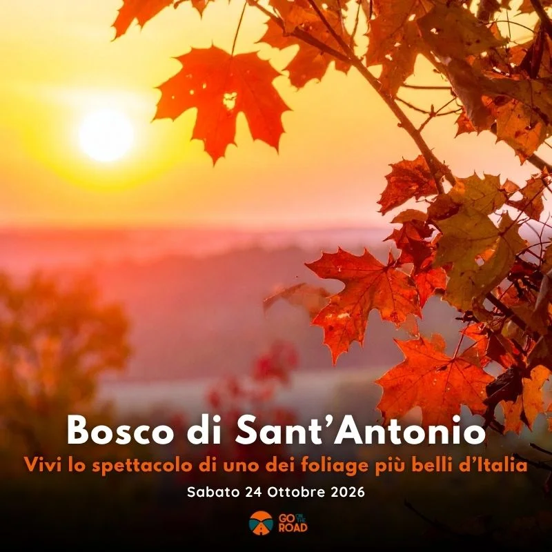 Foliage al Bosco di Sant'Antonio e Sulmona – 24 Ottobre 2026