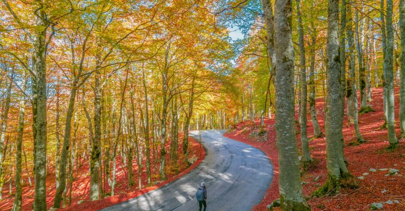 Il paradiso del foliage - L'autunno nei boschi d'Abruzzo