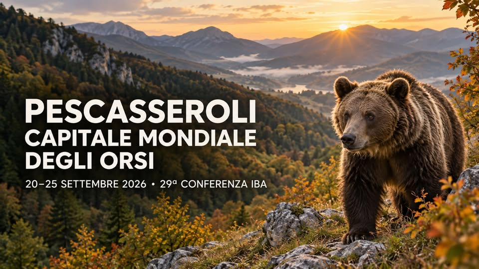 Pescasseroli Capitale Mondiale degli Orsi — 29ª Conferenza IBA 2026