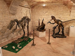 Museo dei Fossili e delle Ambre