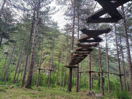 Parco Avventura per Famiglie — Divertimento tra gli alberi a Colle San Marco