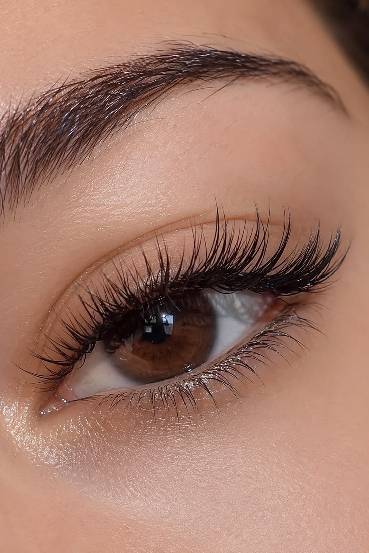 Extension Lashes