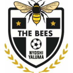 The Bees FC logo