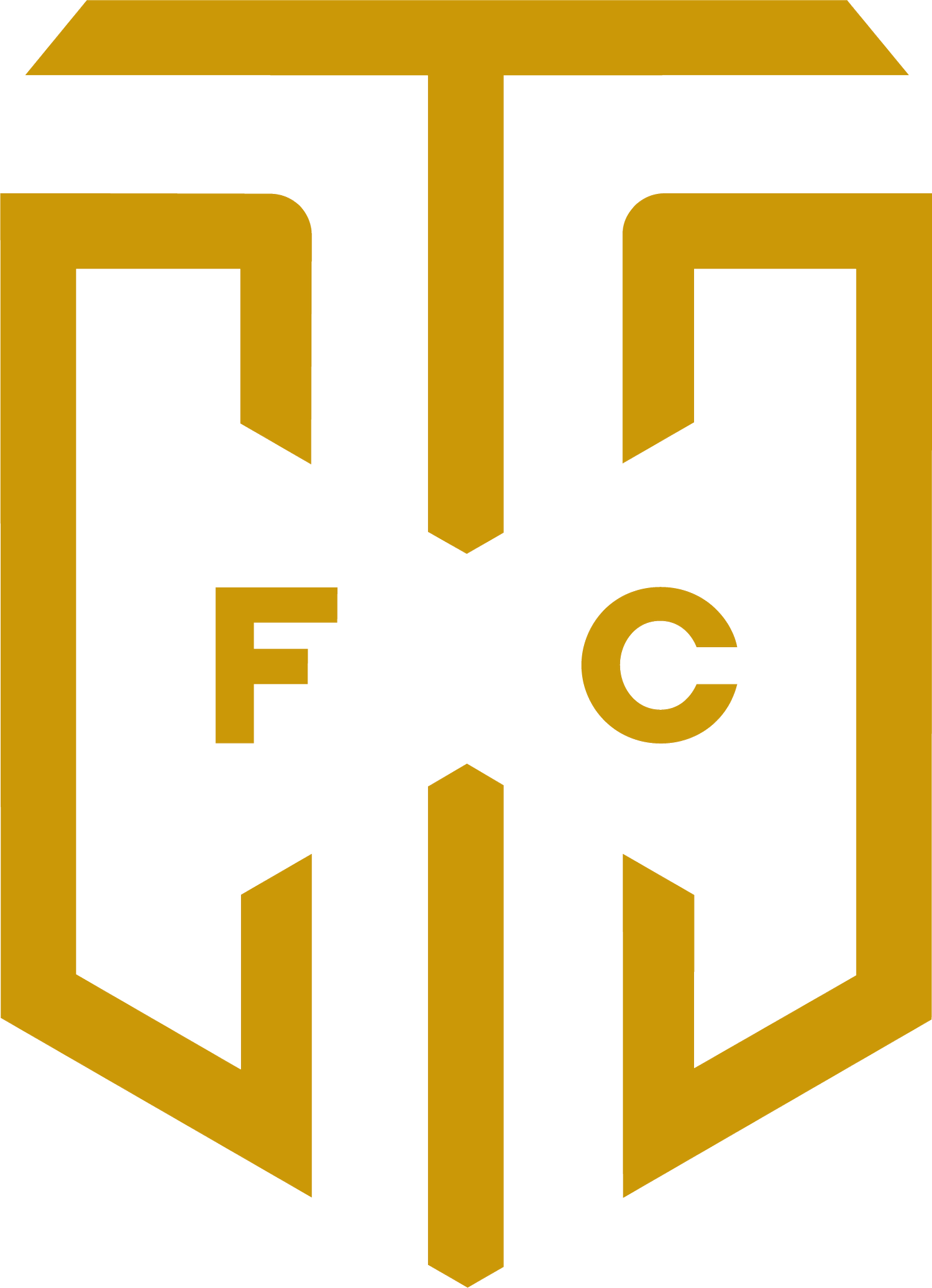 Cape Town City FC logo